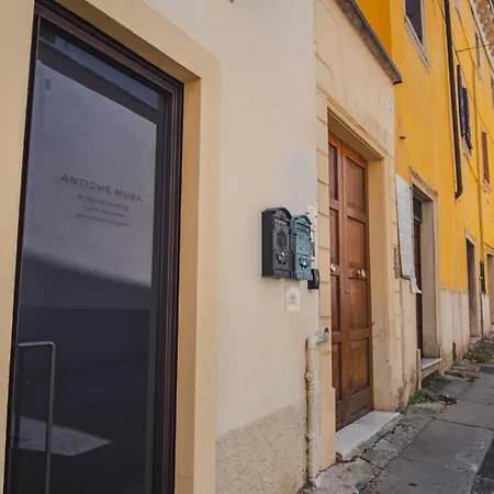 Antiche Mura - Italian Homing-2